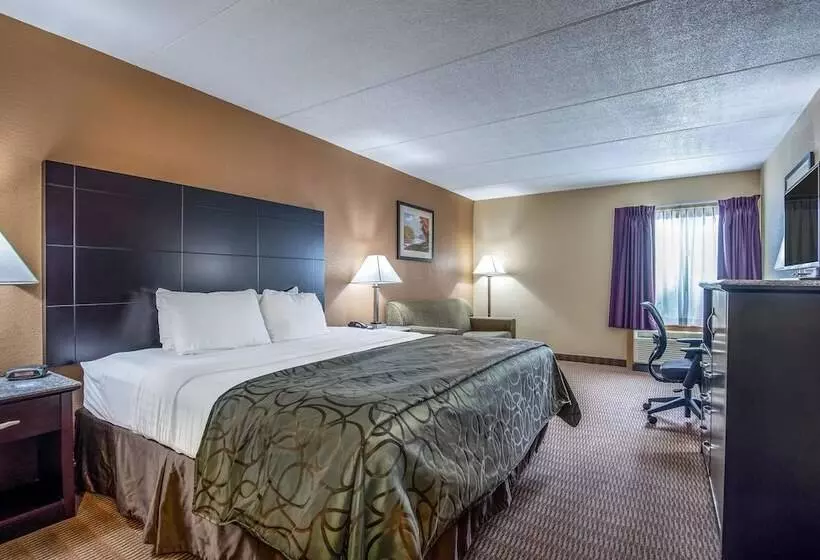 Hotel Quality Inn Tully I 81