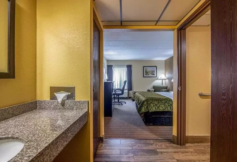 Hotel Quality Inn Tully I 81