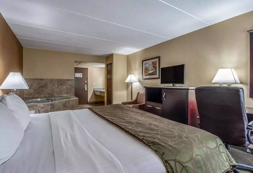 Hotel Quality Inn Tully I 81