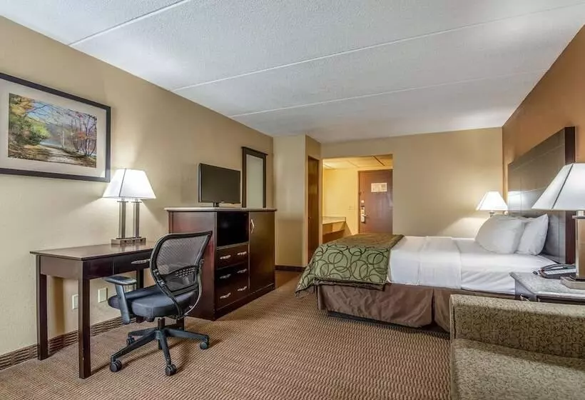 Hotel Quality Inn Tully I 81