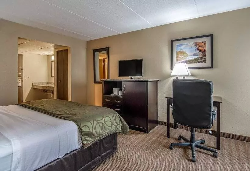 Hotel Quality Inn Tully I 81