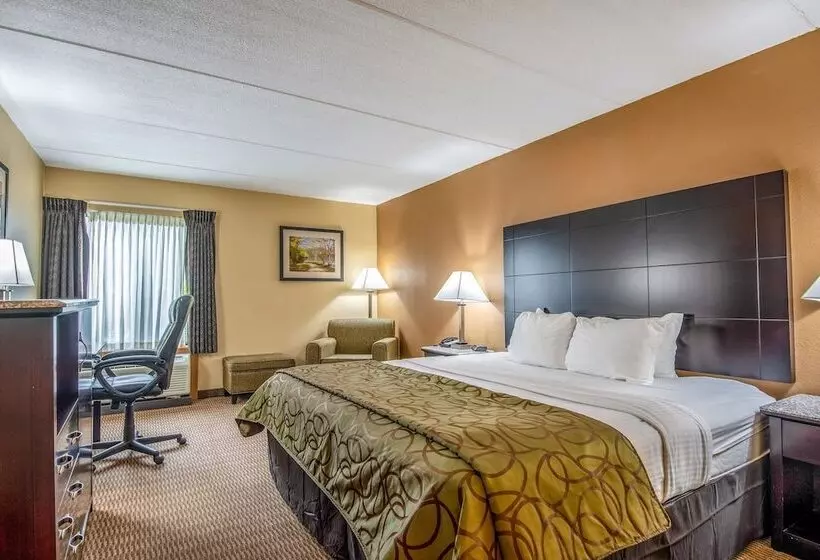 Hotel Quality Inn Tully I 81