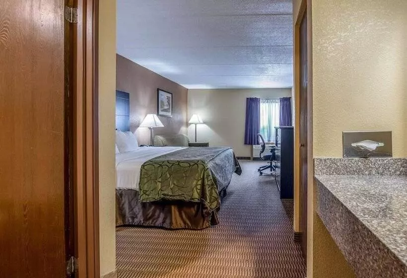 Hotel Quality Inn Tully I 81