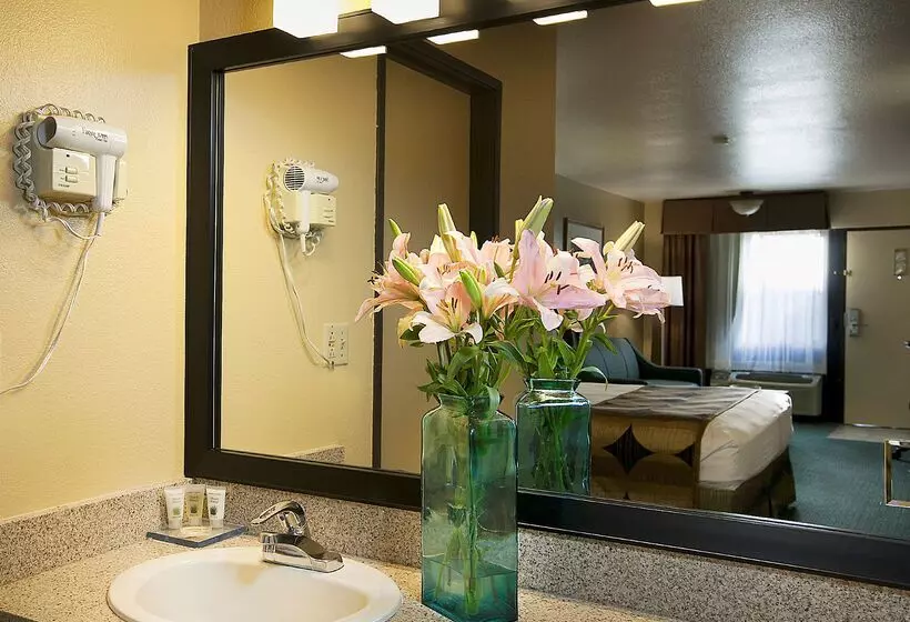 فندق Sure Stay Plus By Best Western Twentynine Palms Joshua Tree