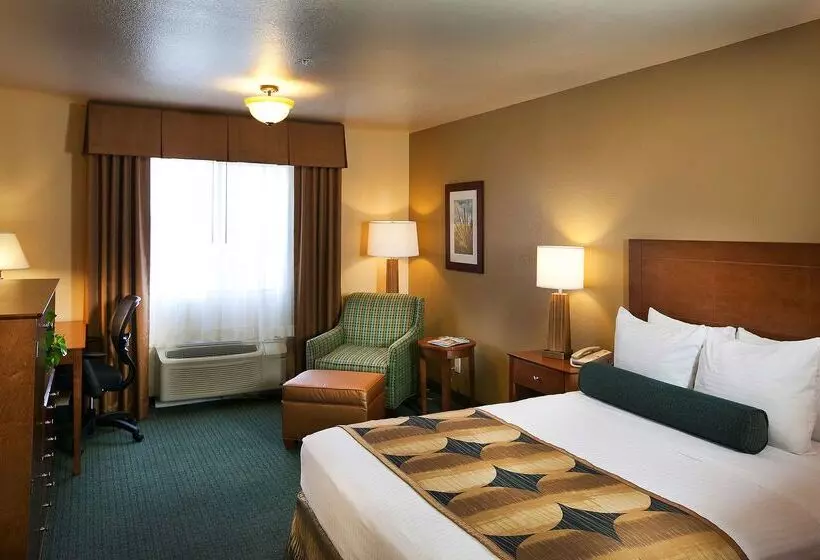 فندق Sure Stay Plus By Best Western Twentynine Palms Joshua Tree