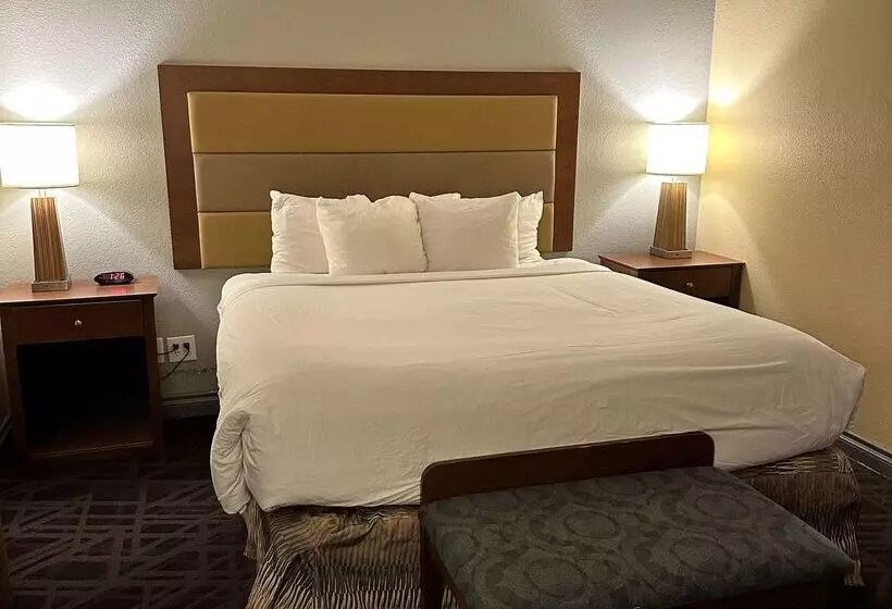 فندق Sure Stay Plus By Best Western Twentynine Palms Joshua Tree