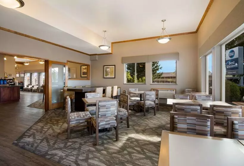 فندق على الطريق Best Western Holiday