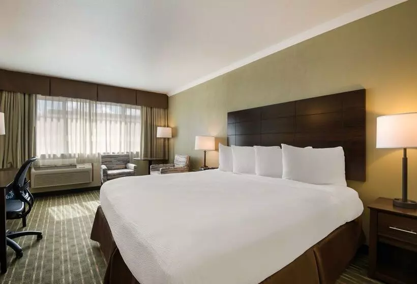 فندق على الطريق Best Western Holiday