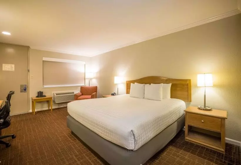 酒店 Best Western Inn