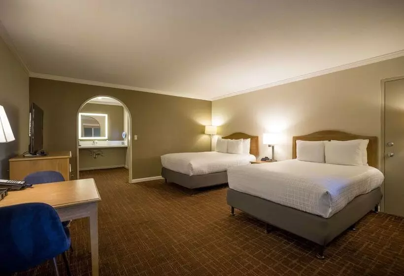 酒店 Best Western Inn