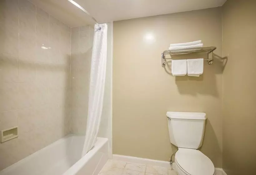 酒店 Best Western Inn