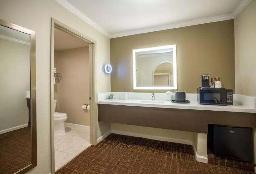 酒店 Best Western Inn