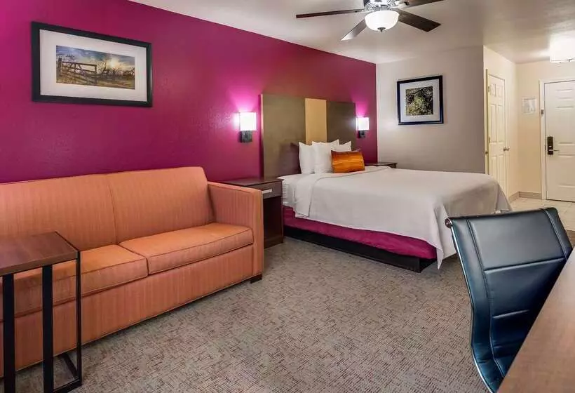 فندق Best Western Pineywoods Inn