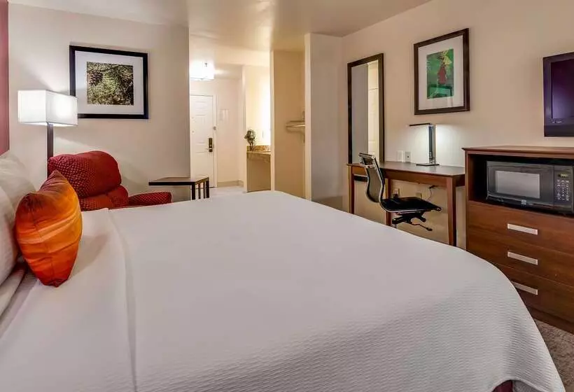 فندق Best Western Pineywoods Inn