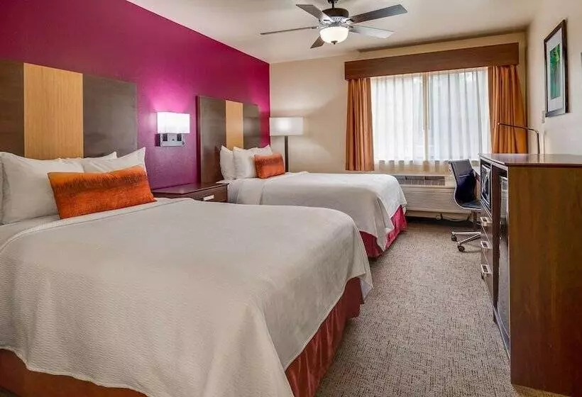 فندق Best Western Pineywoods Inn