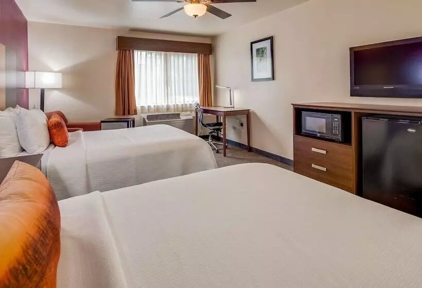 فندق Best Western Pineywoods Inn