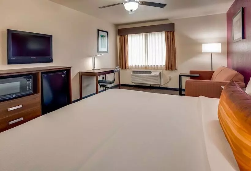 فندق Best Western Pineywoods Inn