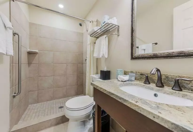 Szálloda Best Western Tyrolean Lodge