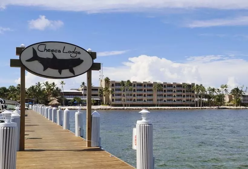 فندق Cheeca Lodge & Spa