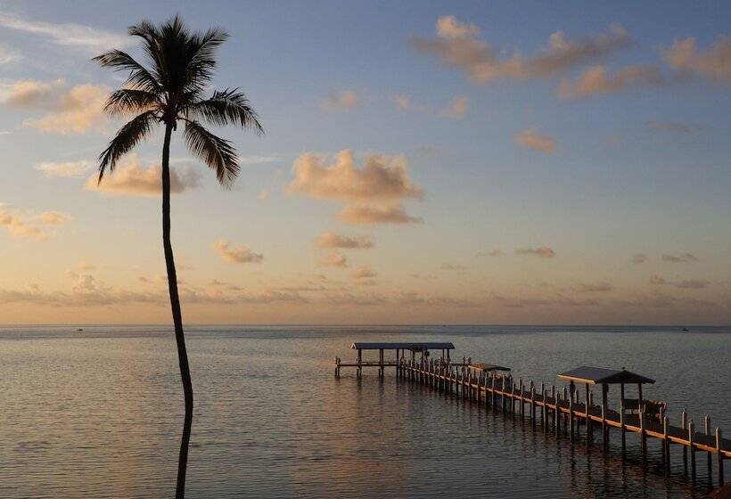 ホテル Cheeca Lodge & Spa