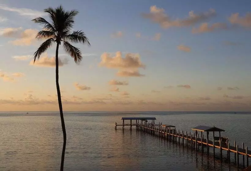 فندق Cheeca Lodge & Spa