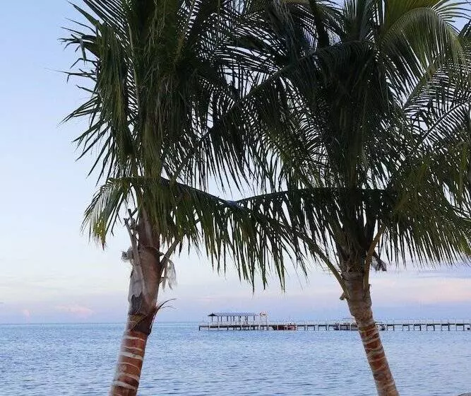 فندق Cheeca Lodge & Spa