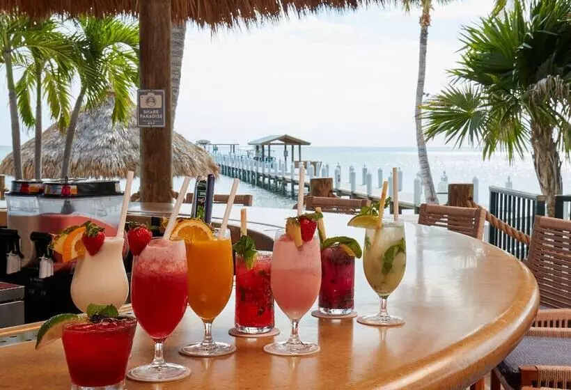 فندق Cheeca Lodge & Spa