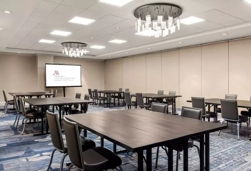 هتل Chicago Marriott Downtown Magnificent Mile