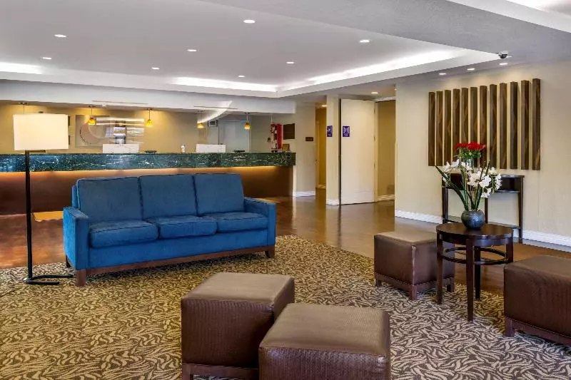 酒店 Comfort Inn & Suites Sea Tac Airport