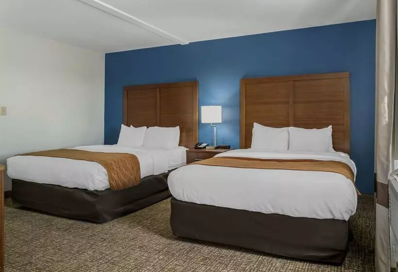 호텔 Comfort Inn East