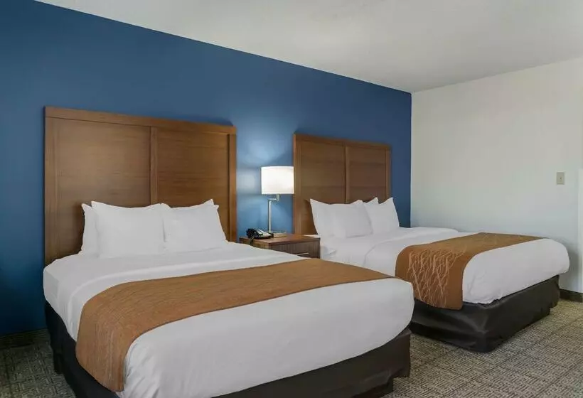 호텔 Comfort Inn East