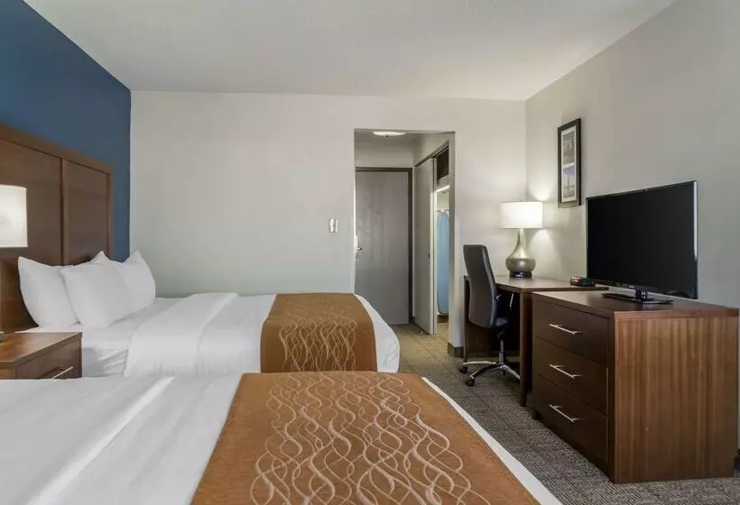 호텔 Comfort Inn East