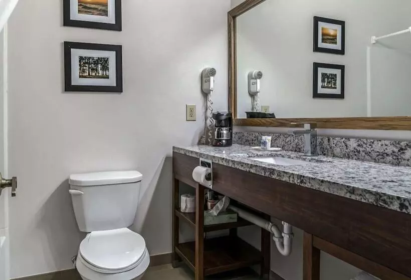 호텔 Comfort Inn East