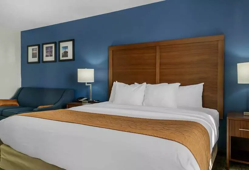 호텔 Comfort Inn East