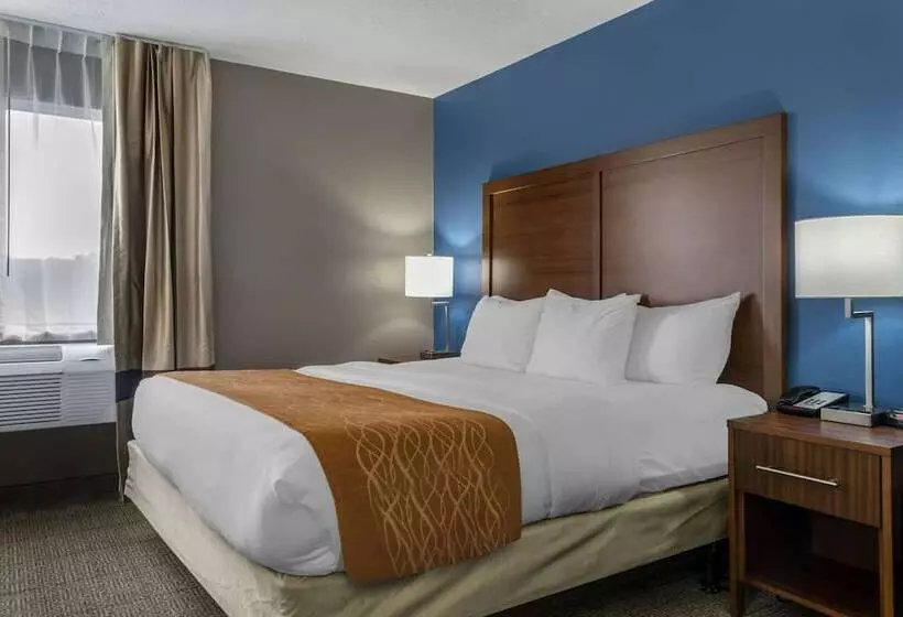 호텔 Comfort Inn East