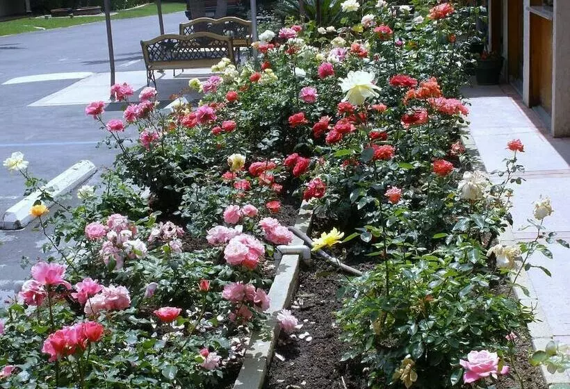 Отель Garden Inn And Suites Glendora