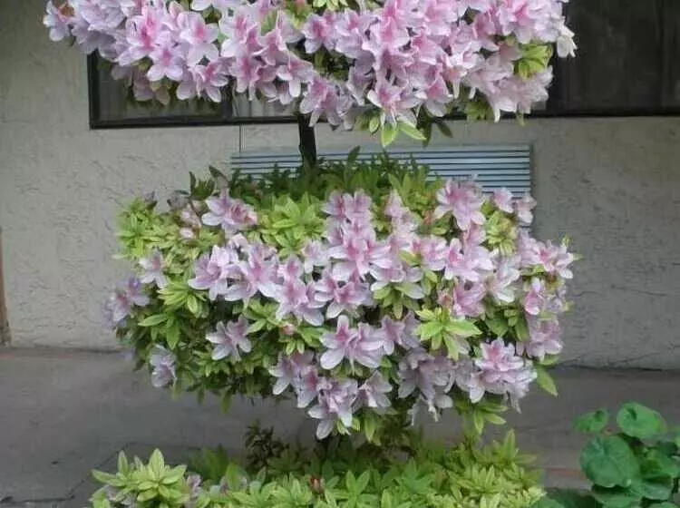 Отель Garden Inn And Suites Glendora