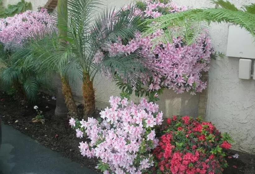 Отель Garden Inn And Suites Glendora