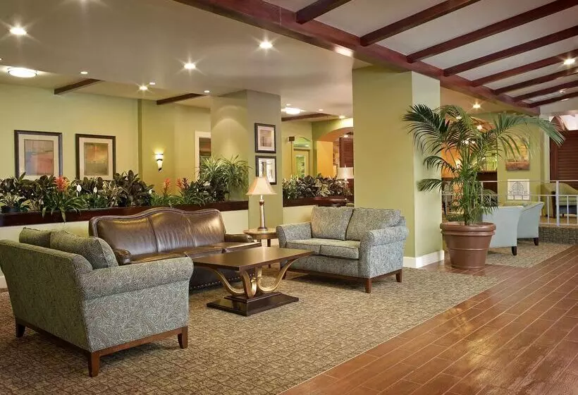 호텔 Palm Beach Shores Resort And Vacation Villas