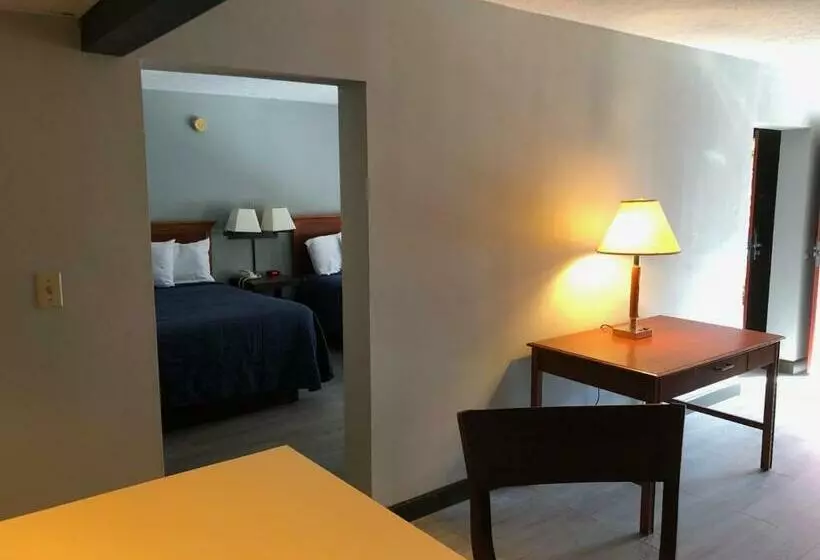 酒店 Springfield Inn Tn