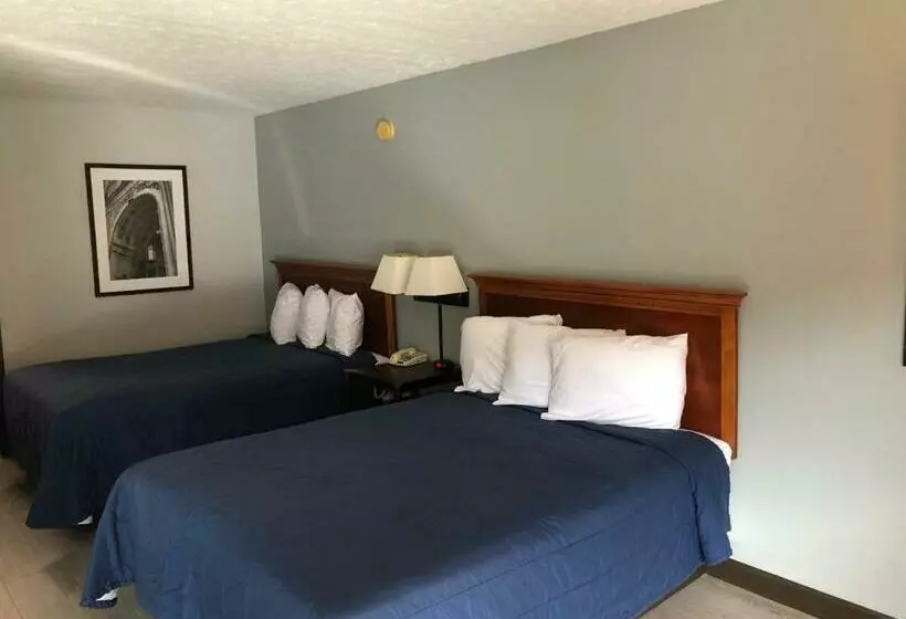 酒店 Springfield Inn Tn