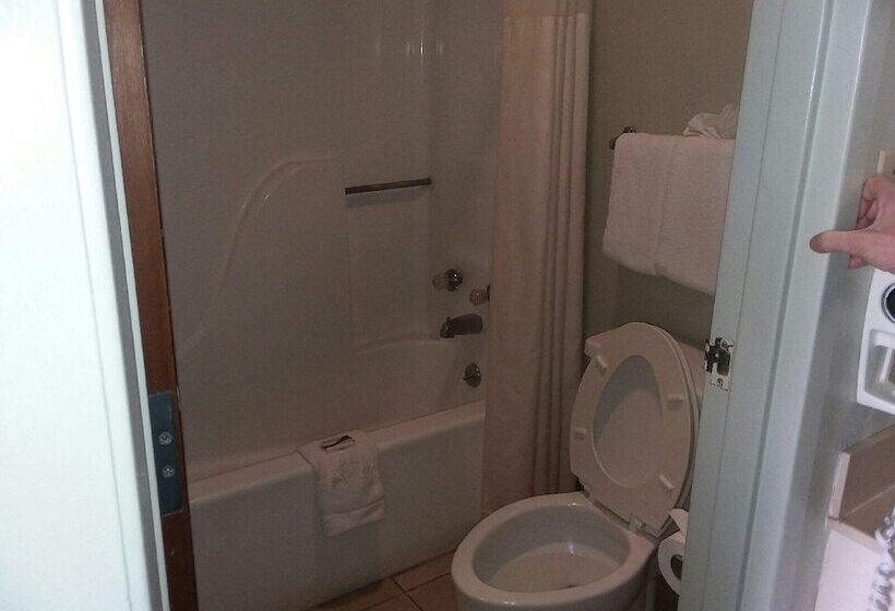 Отель Springfield Inn Tn