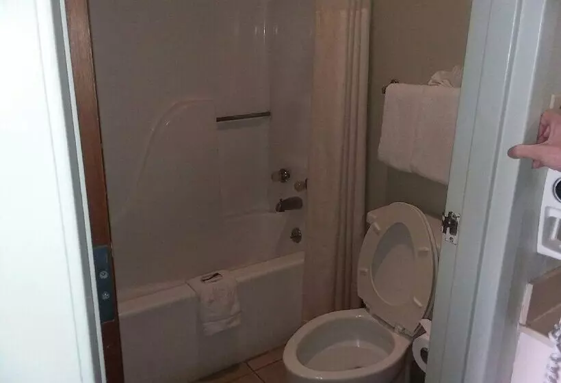 酒店 Springfield Inn Tn