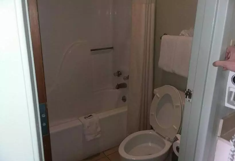 酒店 Springfield Inn Tn