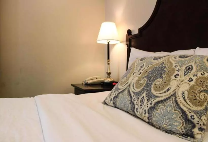 Hotel St. Pierre French Quarter