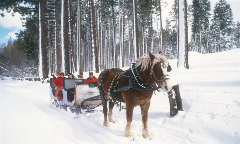 ホテル Station House Inn South Lake Tahoe, By Oliver
