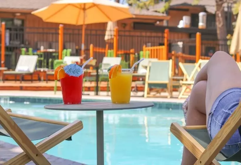 ホテル Station House Inn South Lake Tahoe, By Oliver