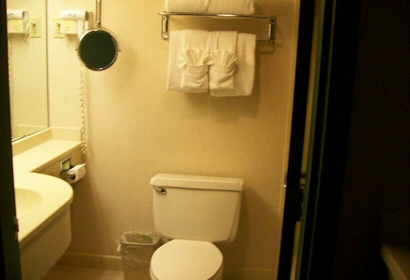 هتل The Regency Lodge