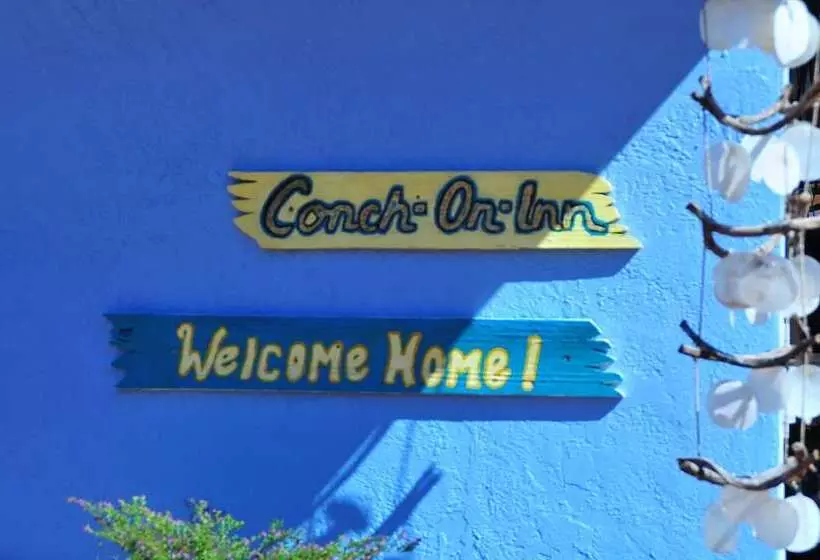Conch On Inn Motel