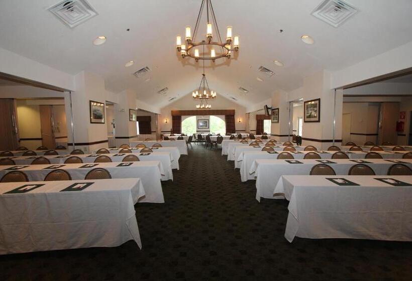 فندق Black Bear Inn & Suites